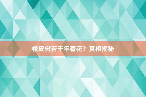 橡皮树若干年着花？真相揭秘