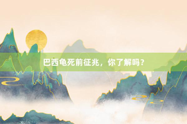 巴西龟死前征兆，你了解吗？