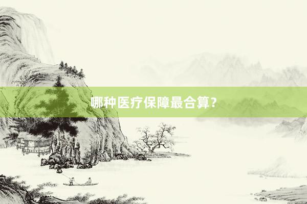 哪种医疗保障最合算？